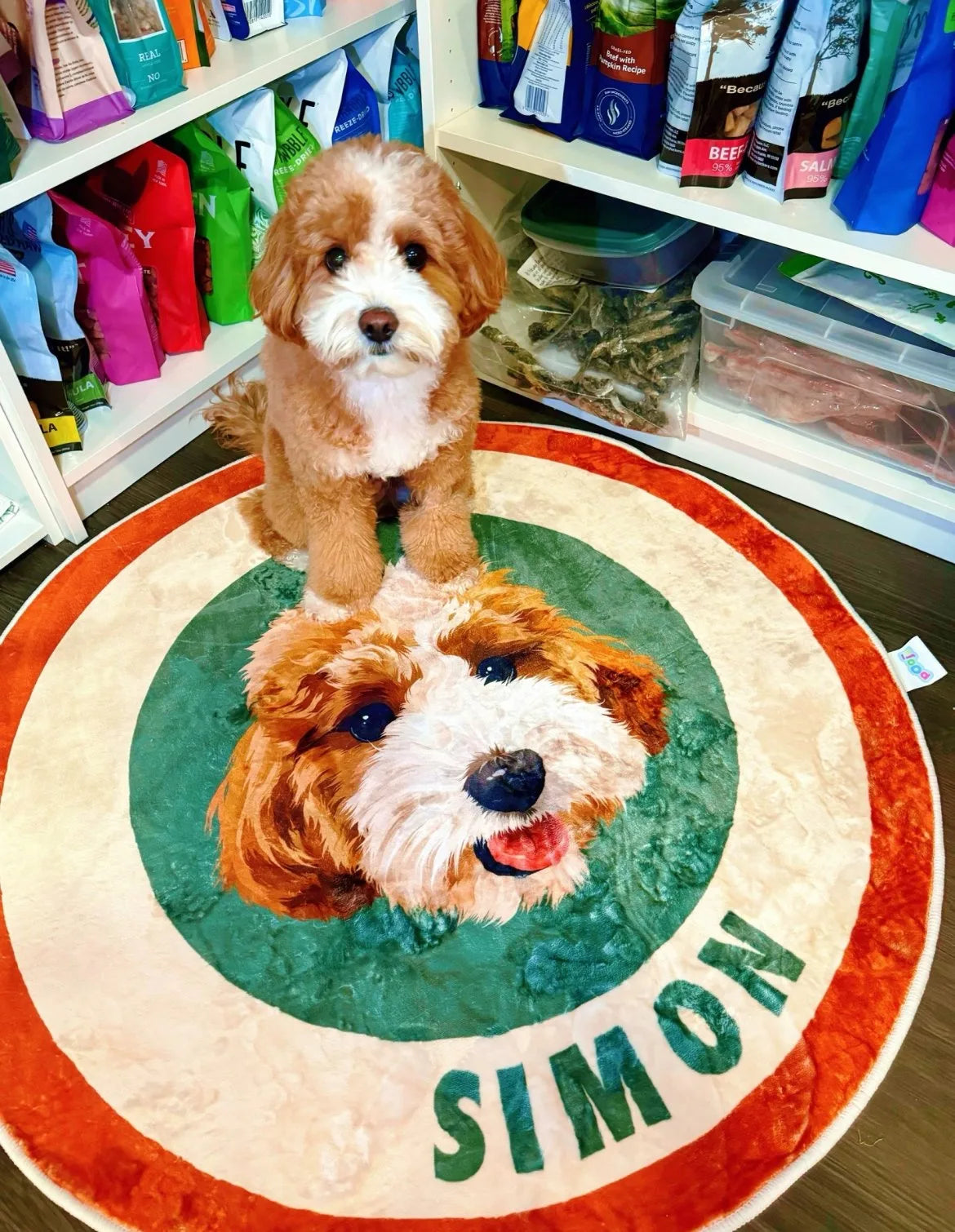 a customer's dog with their own portrait rug