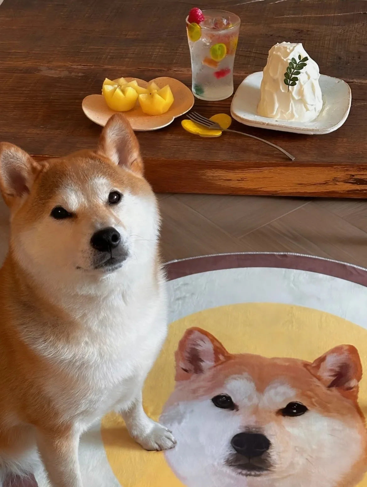 a customer's dog with their own portrait rug