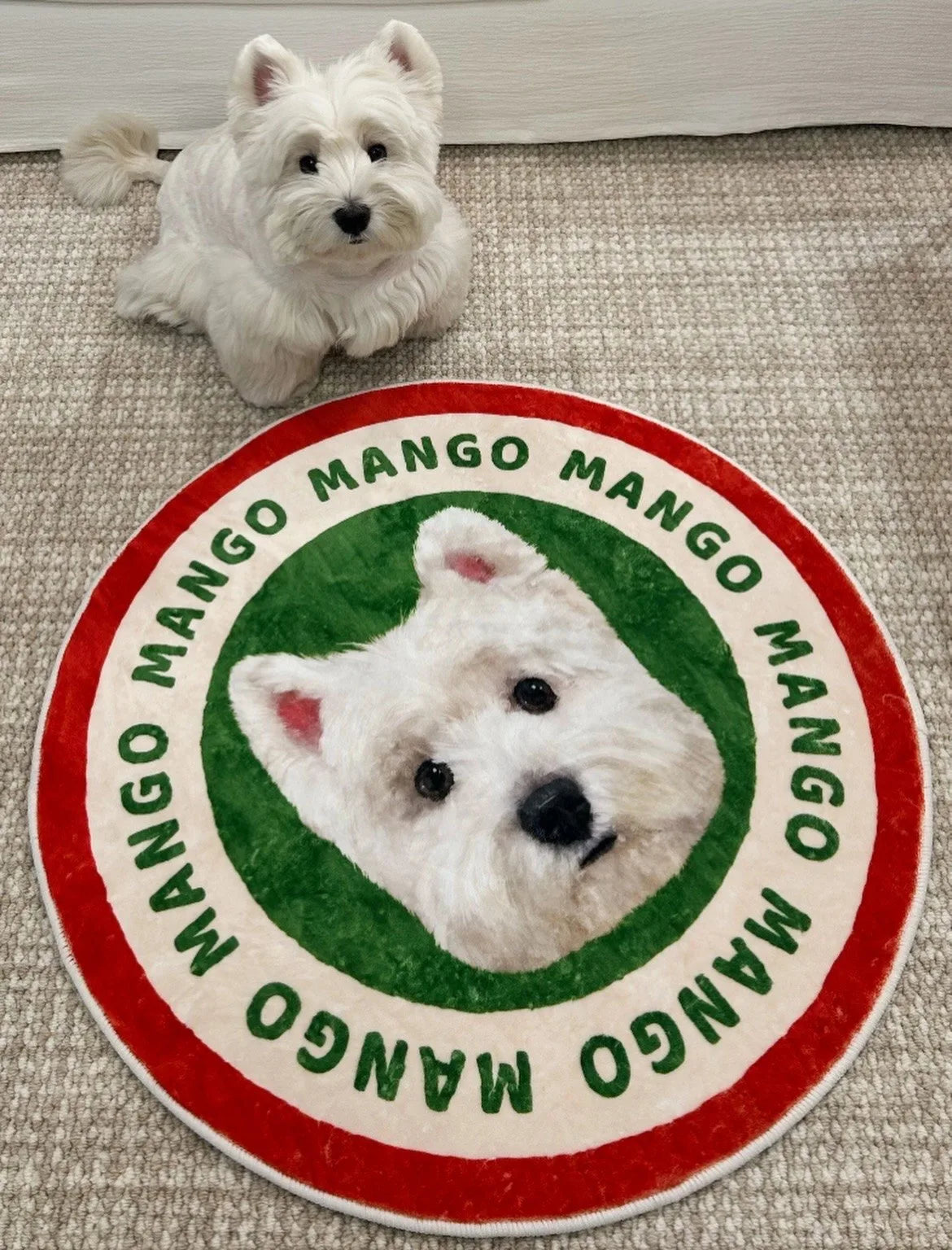 a customer's dog with their own portrait rug