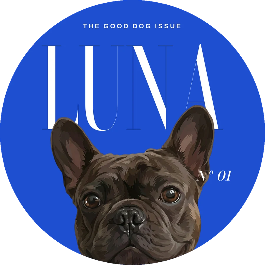 Magazine rug design example