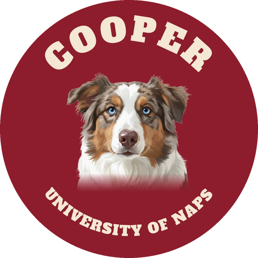 Varsity rug design example
