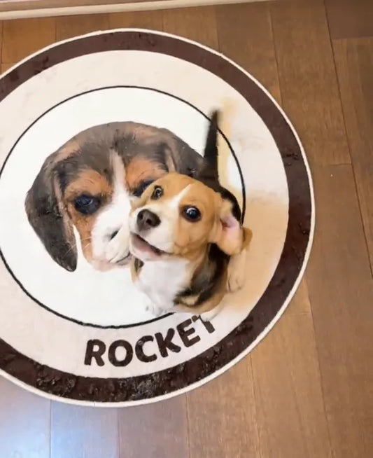 Beagle puppy Rocket sitting on his custom rug with his round portrait and ROCKET on the border