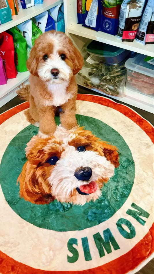 Cavapoo Simon lying on his custom portrait rug