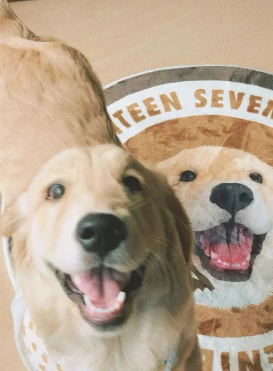 Golden retriever Seventeen smiling next to his round portrait rug with his name around the border