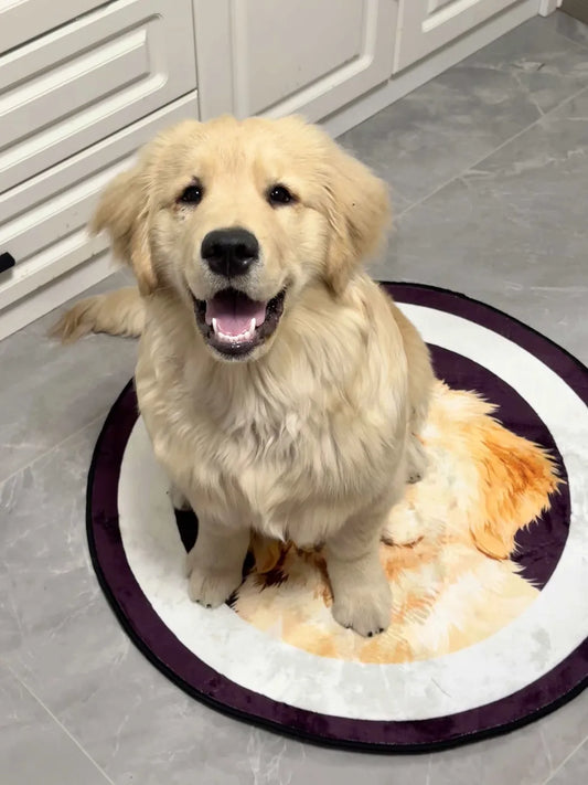 Happy golden retriever sitting on his own custom portrait rug