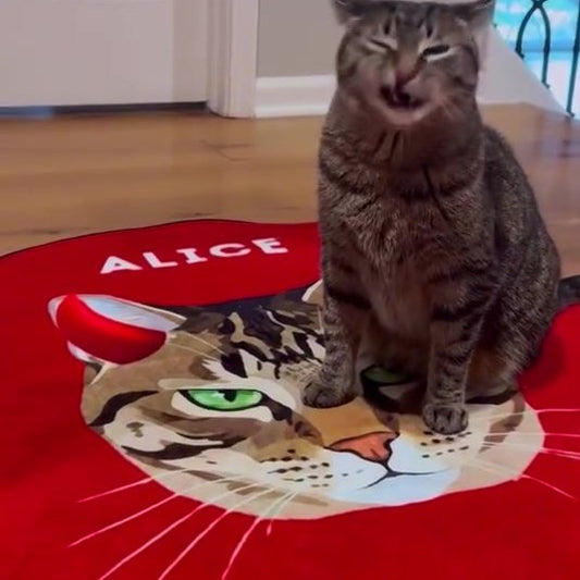 Alice the tabby cat sitting on her red custom cat rug with her name