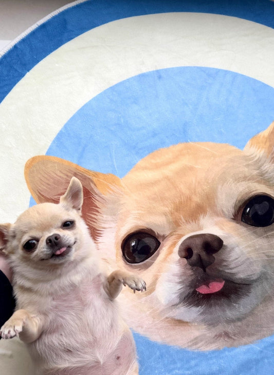 Two chihuahuas on their custom portrait rug