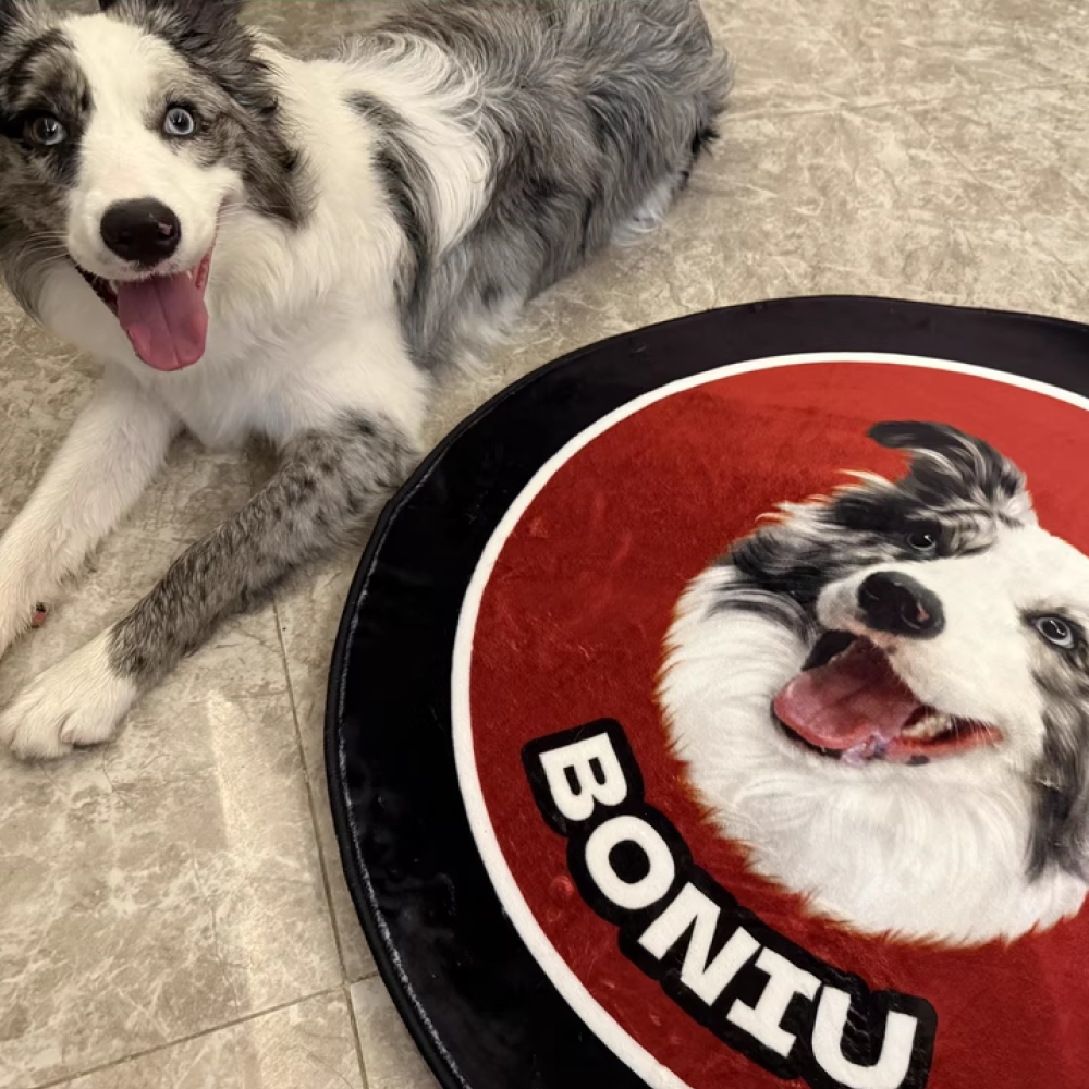 Custom Pet Portrait Rug in Hand-Drawn Art Style