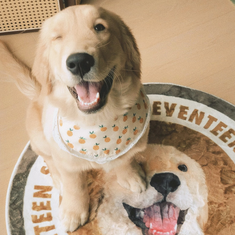 Custom Pet Portrait Rug in Hand-Drawn Art Style