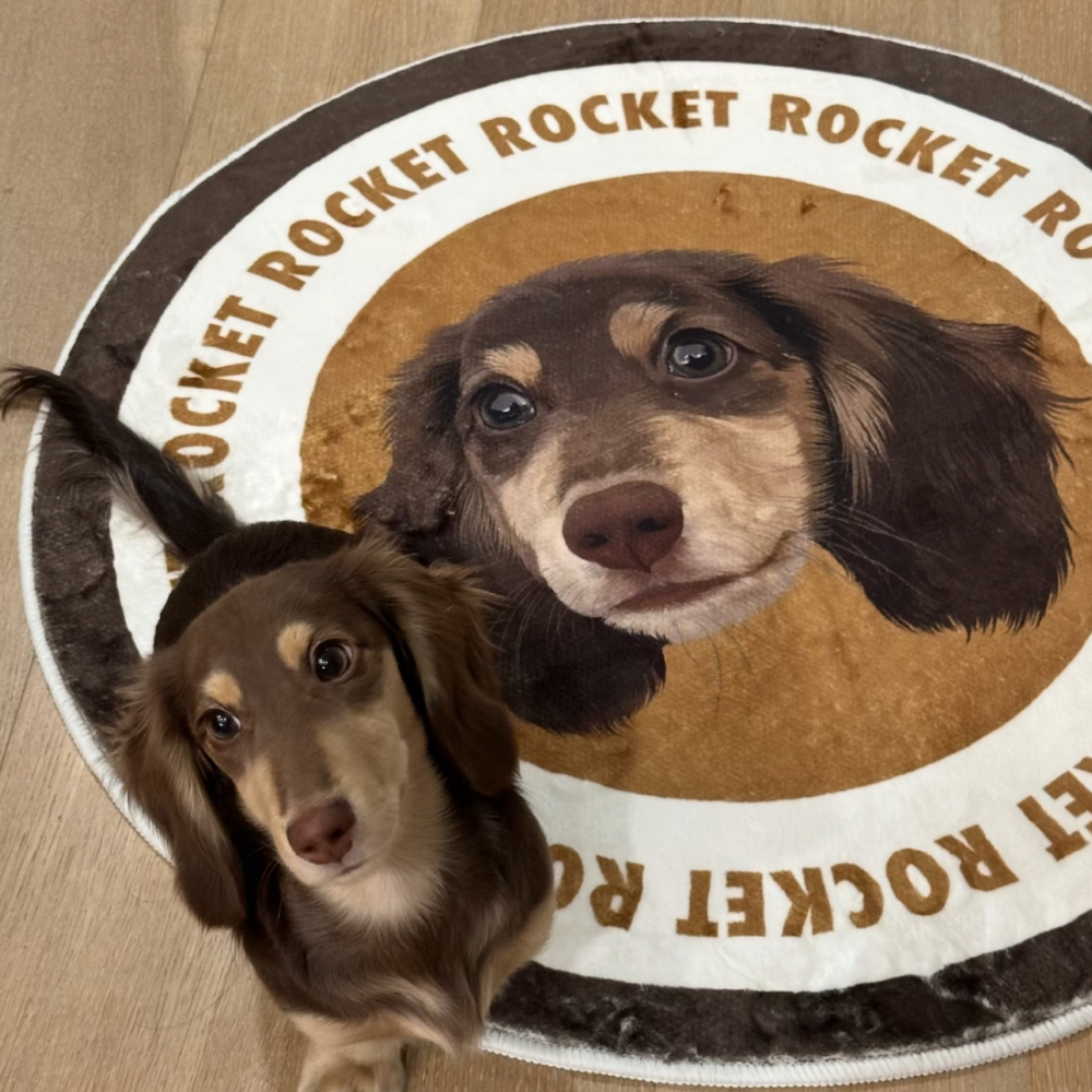 Custom Pet Portrait Rug in Hand-Drawn Art Style