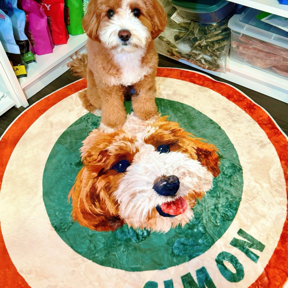 Custom Pet Portrait Rug in Hand-Drawn Art Style