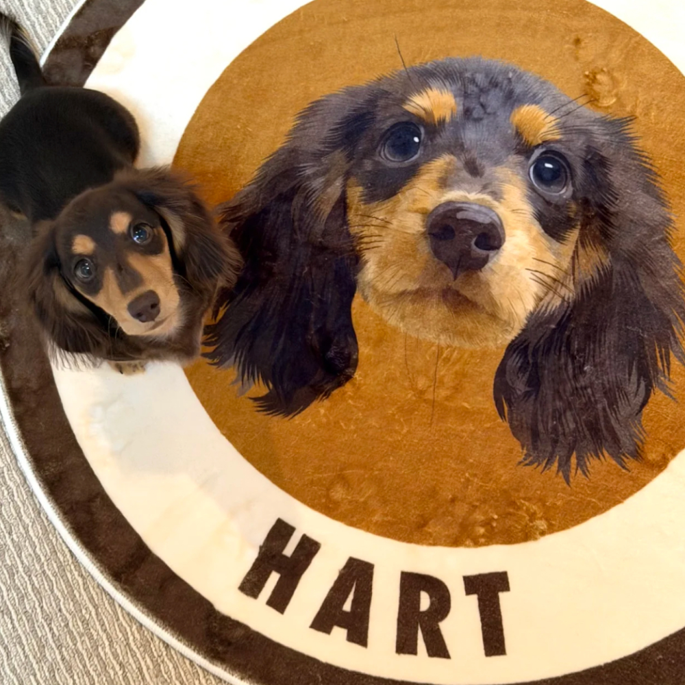 Custom Pet Portrait Rug in Hand-Drawn Art Style