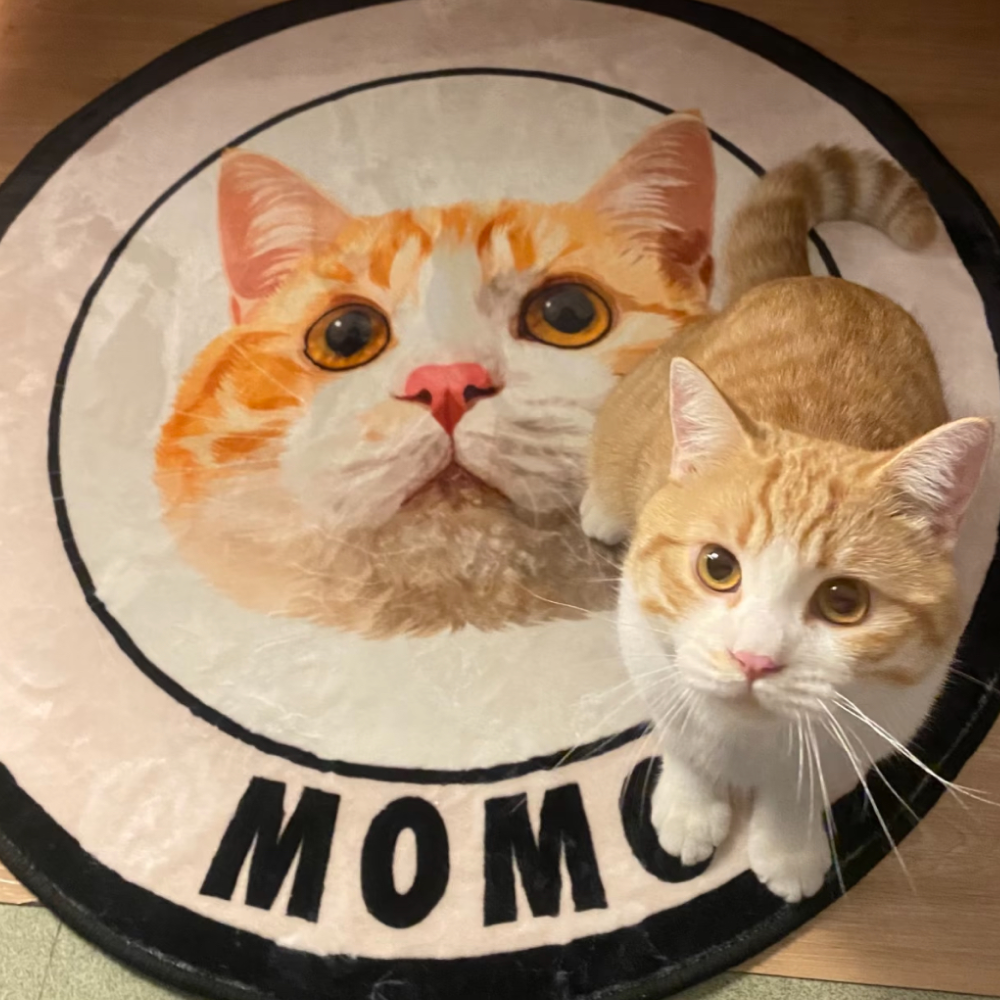 Custom Pet Portrait Rug in Hand-Drawn Art Style