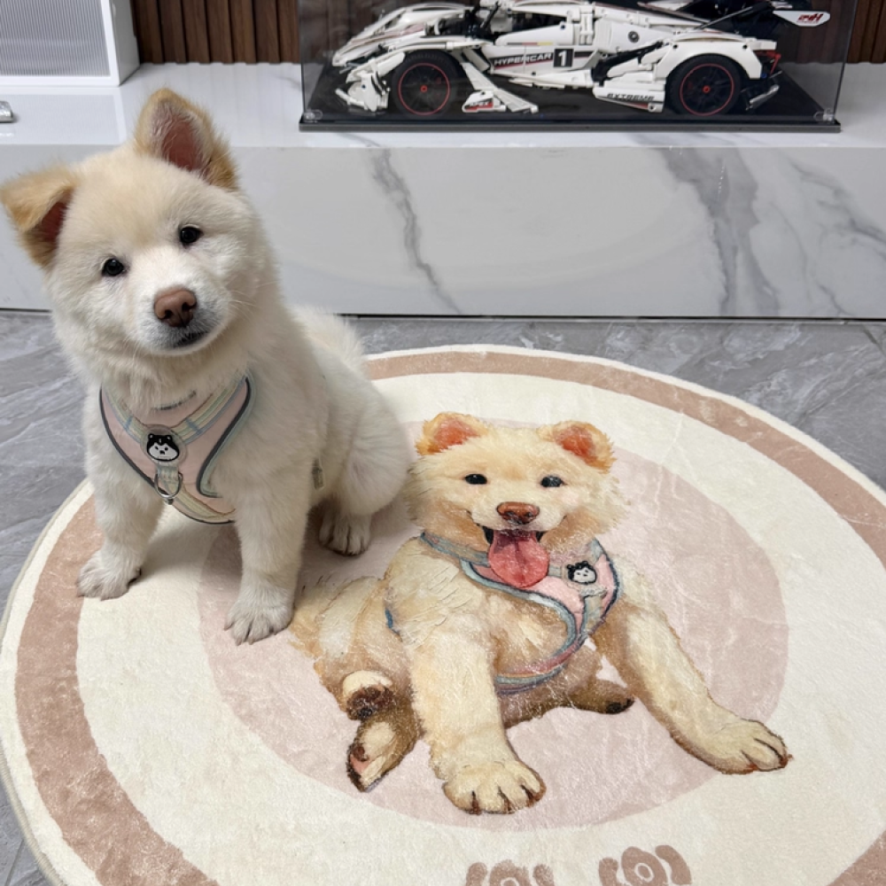 Custom Pet Portrait Rug in Hand-Drawn Art Style