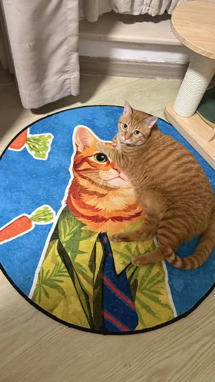 Cat Jojo on a blue Full Color rug