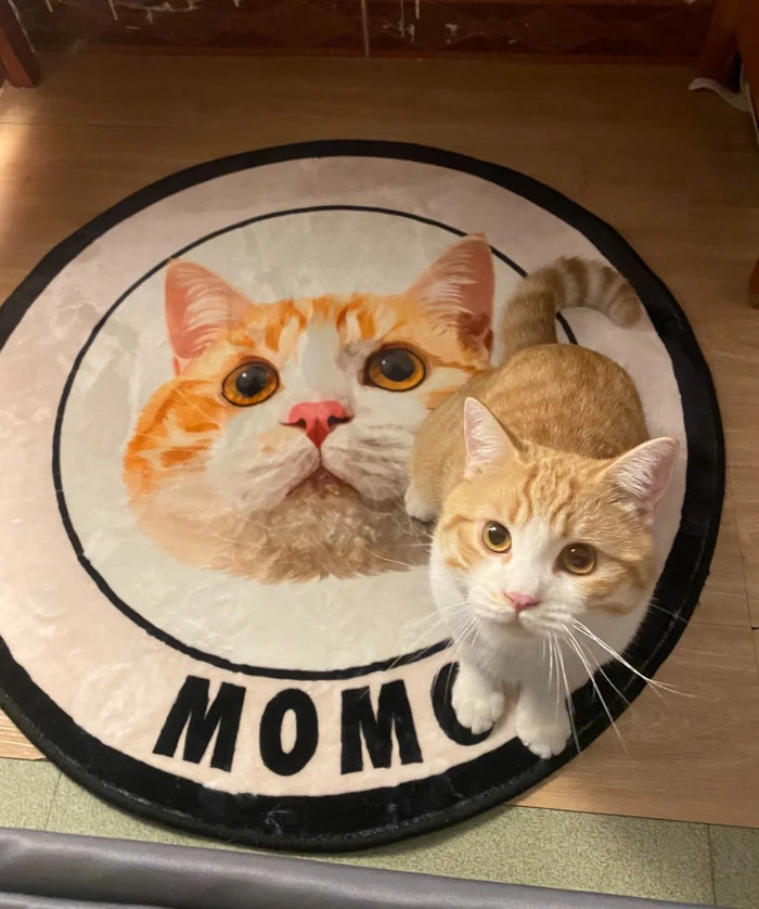 Cat Momo lying on a Classic Frame rug with the name MOMO