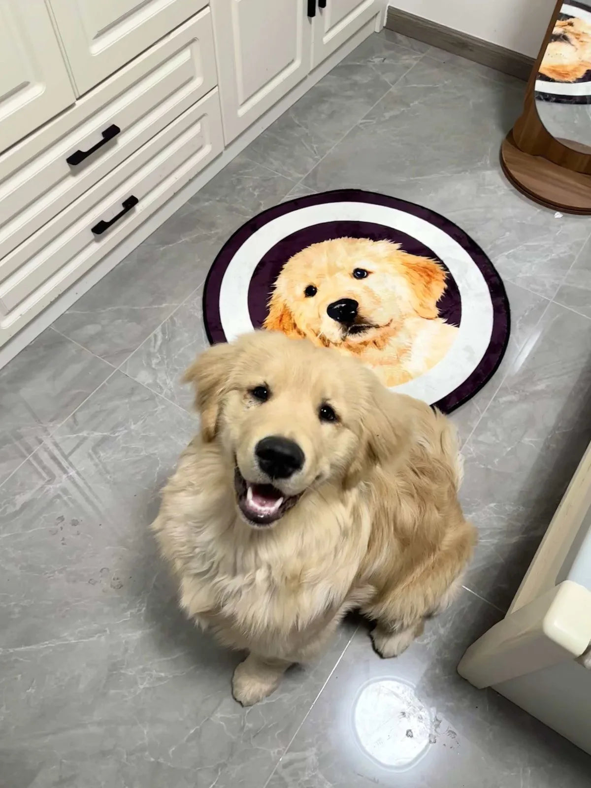 Il cane di un cliente con il suo tappeto ritratto