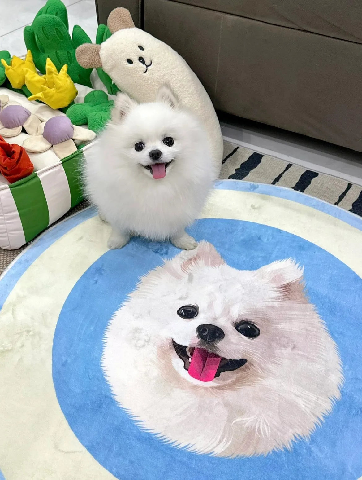 Il cane di un cliente con il suo tappeto ritratto