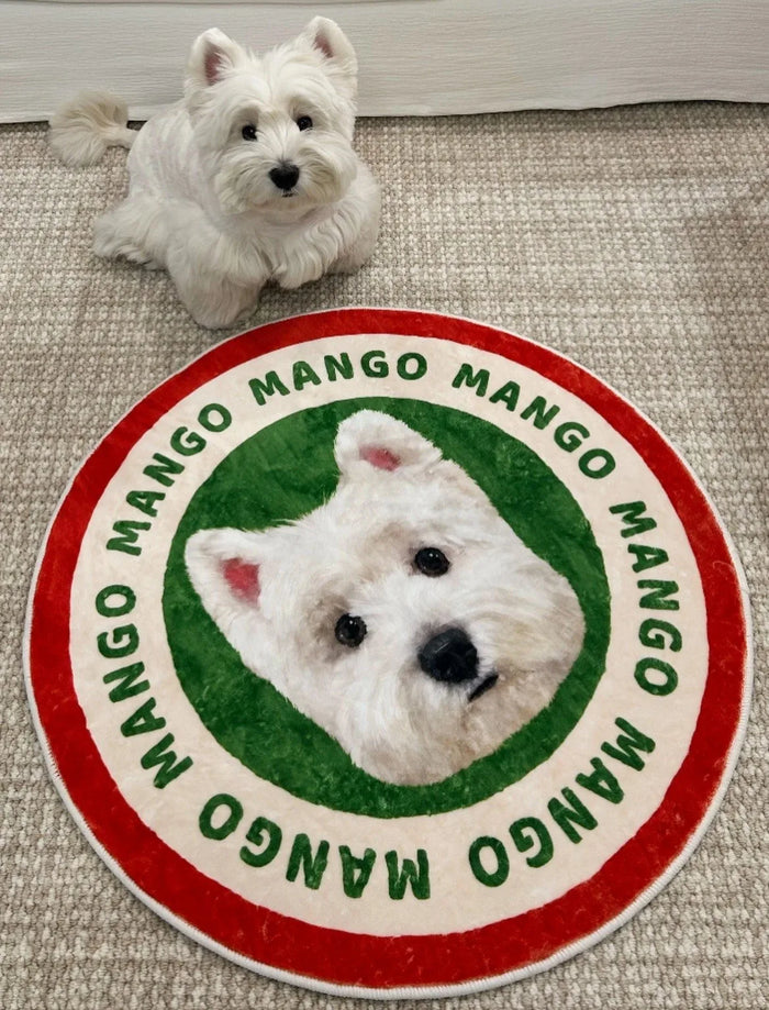 Westie Mango next to his Color Pop rug with his name around the edge
