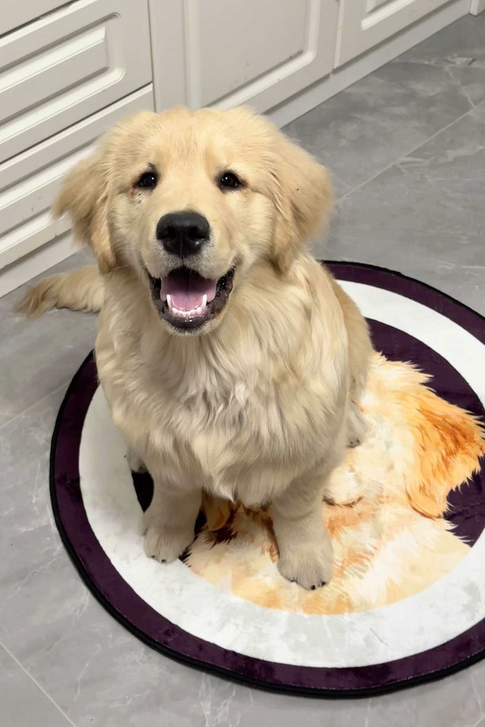 Golden retriever puppy on a plum Classic Frame rug